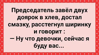 Председатель с Двумя Доярками в Хлеву! Сборник Свежих Анекдотов! Юмор!