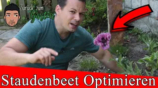 Staudenbeet noch schöner nach 6 Monaten (Unkraut, Umpflanzen, Blüten, Verbessern)