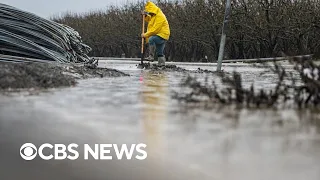 Torrential rain soaks California after historic drought