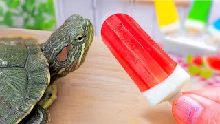 Fresh Miniature Watermelon Ice Cream Recipe For Summer 🍉 Rescue Turtle and Make Tiny Ice Cream #1