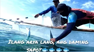 halos lahat ng klasing isda kuha sa lambat nato|pati pusit hagip.