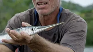 Jeremy Wade Has Some Clever Gear To Help Snag A Needlefish | River Monsters