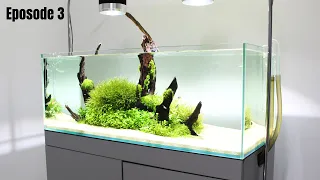 Aquascaping TUSKS | Episode 3