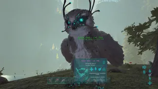 How to Spawn in a Tamed Snow Owl with Ascendant Saddle