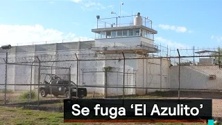 Se fuga ‘El Azulito’ del penal de Aguaruto, en Sinaloa - Despierta con Loret