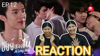 TipTan Reaction อัยย์หลงไน๋ (AiLongNhai) EP. 12