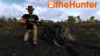 The Hunter Classic: Rare Animals #14 Hirschfelden - Jabalí Moteado / Piebald Wild Boar