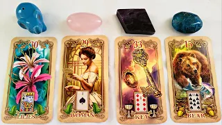 🐘 Their INTENTIONS Toward You 😍 PLUS General Advice for You! 😇💕 PICK A CARD Tarot Reading Timeless