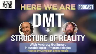 The Structure of Reality | Here We Are Podcast #309 w/ Dr. Andrew Gallimore | Hosted by Shane Mauss