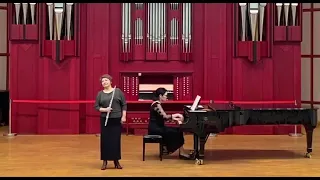 В. А. Моцарт Концерт ре мажор, 1 часть.  W. A. Mozart Concert for flute, D dur, 1 part.