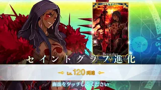 FGO Cu Chulainn [Alter] Level 120 MAX Level Up Record