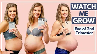 Pregnant Belly Transformation