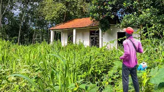 Surprised Neighbors! Helping to clean up the abandoned house for a satisfying transformation