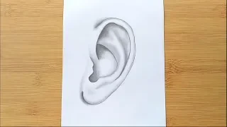 How to Draw An ear for beginners - Step by Step / Easy way to draw