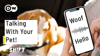 How A.I. Will Let You Talk With Your Pet!