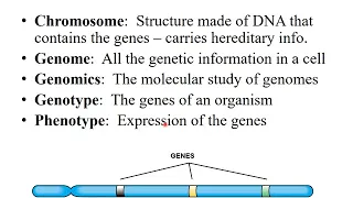 Chapter 8  Microbial Genetics Part 1