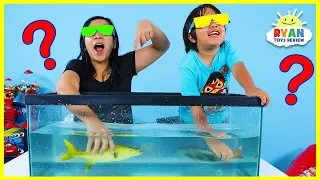 What's in the Box Challenge Underwater Version!!!