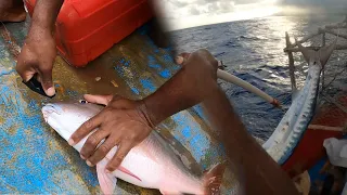 Best Catch Of The Day! Fishing In Jamaica | Barracuda, Mutton Snapper, Spiny Lobster, Lion Fish