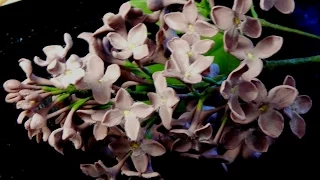 Сирень из холодного фарфора / How to make a lilac from a cold porcelain