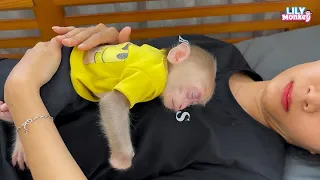 Aunt lulls baby monkey Lily to sleep so sweet