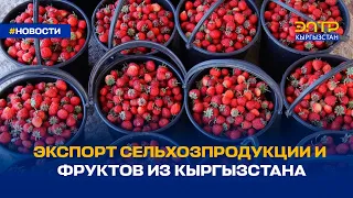 ЭКСПОРТ СЕЛЬХОЗПРОДУКЦИИ И ФРУКТОВ ИЗ КЫРГЫЗСТАНА