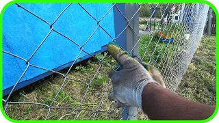 THE CHEAPEST FENCE AT THE DACHA! Fences Skillful. Fence mesh!