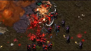 TERRAN VIEW! Action 🇰🇷 (Z) vs Really 🇰🇷 (T) on Tornado - StarCraft - Brood War Remastered