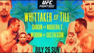 РАЗБОР ТУРНИРА UFC: Уиттакер vs. Тилл