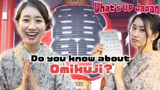 What's UP Japan | Street interview in Asakusa PART3