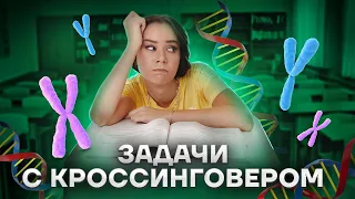 Типы генетических задач в ЕГЭ: как определить? Кроссинговер, сцепление, аутосомы