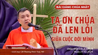 Tạ ơn Chúa đã len lỏi giữa cuộc đời mình - Lm GB Phương Đình Toại, MI | CN lễ Lá năm B