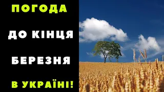 Українцям пообіцяли майже літню спеку до +24°: де та коли чекати