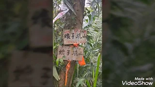 201902 大台北天際線第九段，鳶山山系縱走，大溪妙法寺上娘子坑山，烏塗窟山，五十分山，福德坑山(鳶山)，鳶山岩，大鐘，鳶尾山下三峽祖師廟，影像集錦