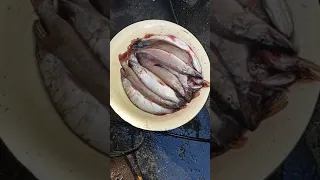 чистка рыбы керхером