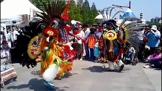 [150501] 인디언 쿠스코 공연 - 마음을 힐링시키는 템포의 곡 (고양국제꽃박람회)