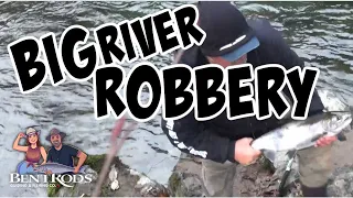 Big River Robbery - Coho Fishing Nov. 2023 - Always In Pursuit