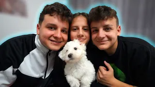 TheShowK ÚJ KISKUTYÁJA🐶🐾(mi legyen a neve?)