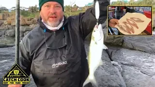 Spoon to Pan | Shad for Breakfast [CATCH CLEAN COOK] Port Edward, KZN, South Africa