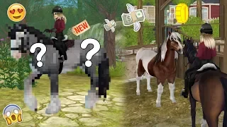 IK KOOP EEN NIEUW PAARD! + Shoppen voor mijn nieuwe paard! | Star Stable Online | Daphneee