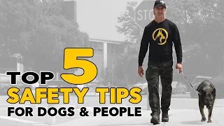 How to Keep Your DOG and YOURSELF Safe on a Walk - Dog and Personal Safety