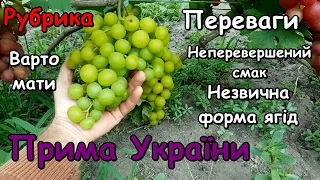 Прима України