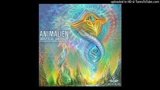 Animalien _ Oksha - Experiencers (Original Mix)(