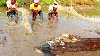 Amazing Cast Net Fishing | Unbelievable Fishing | Cast Net Fishing Part 62