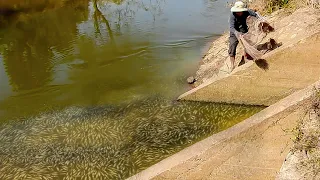 Wow!!! Real life Cast Net Fishing 8Kg Under A Dam (Episode 4)