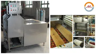 Automatic cherry stalk removing machine auto cherry stem remove machine stemmer