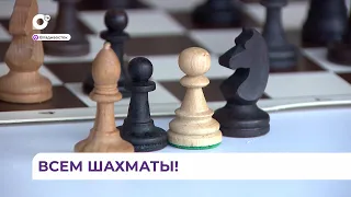 На набережной Владивостока установили шахматный павильон