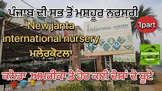 Malerkotla famous! New Janta International Nursery Malerkotla! Punjab top nursery! Amrit& rmn blogs