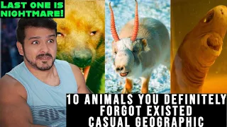 10 Animals You Definitely Forgot Existed by casual geographic reaction