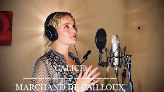 Calice - Marchand de cailloux - Cover Renaud