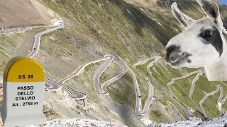 Rides of the Giro d'Italia: The Stelvio Pass // World's Best Climb